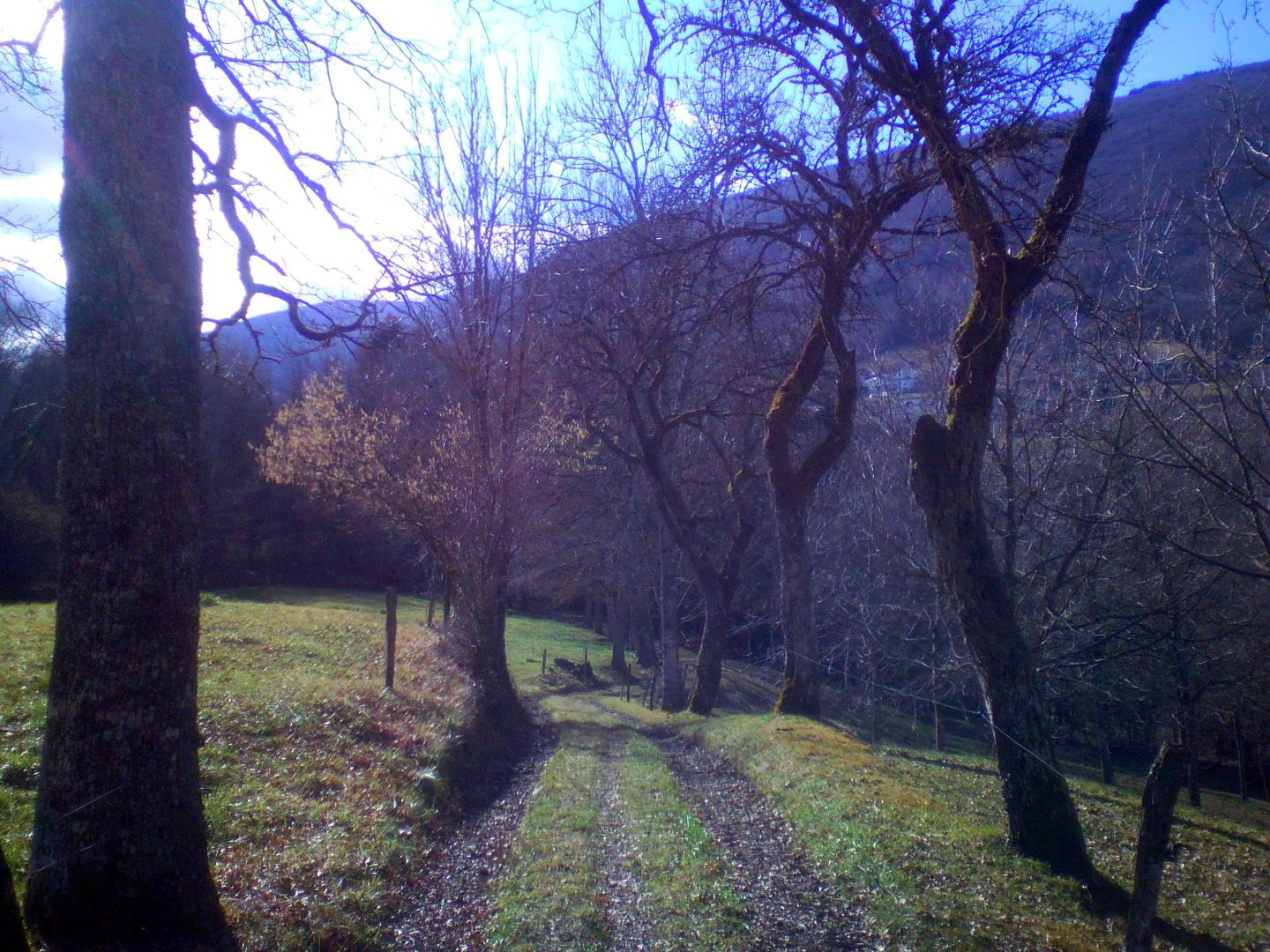 Plaine de l'Arve - Version courte
