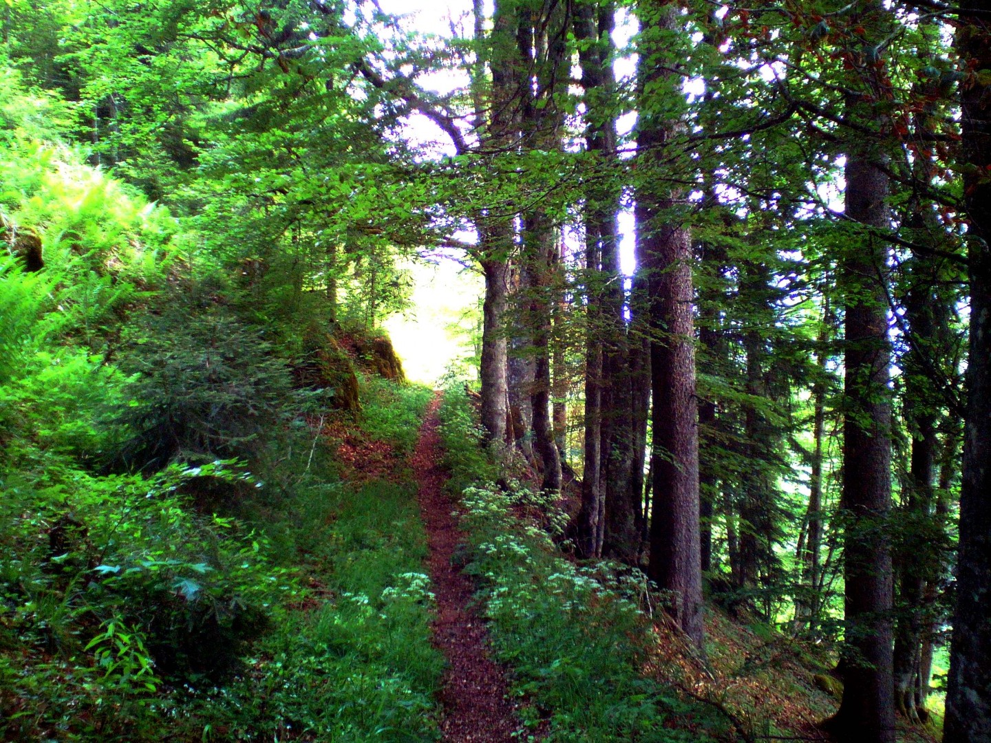 Mégevette - Hirmentaz - Lullin
