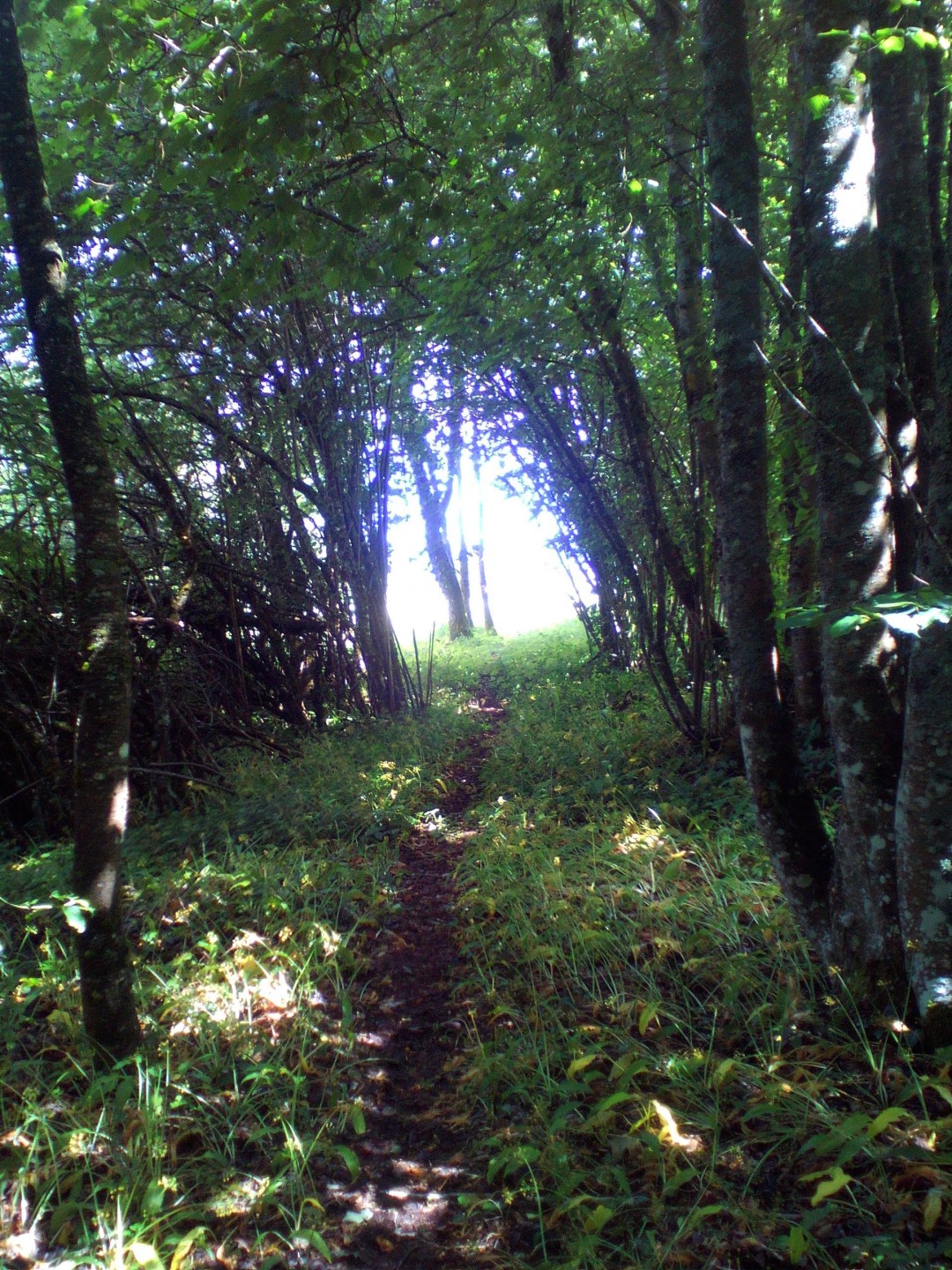 Les 4 cols