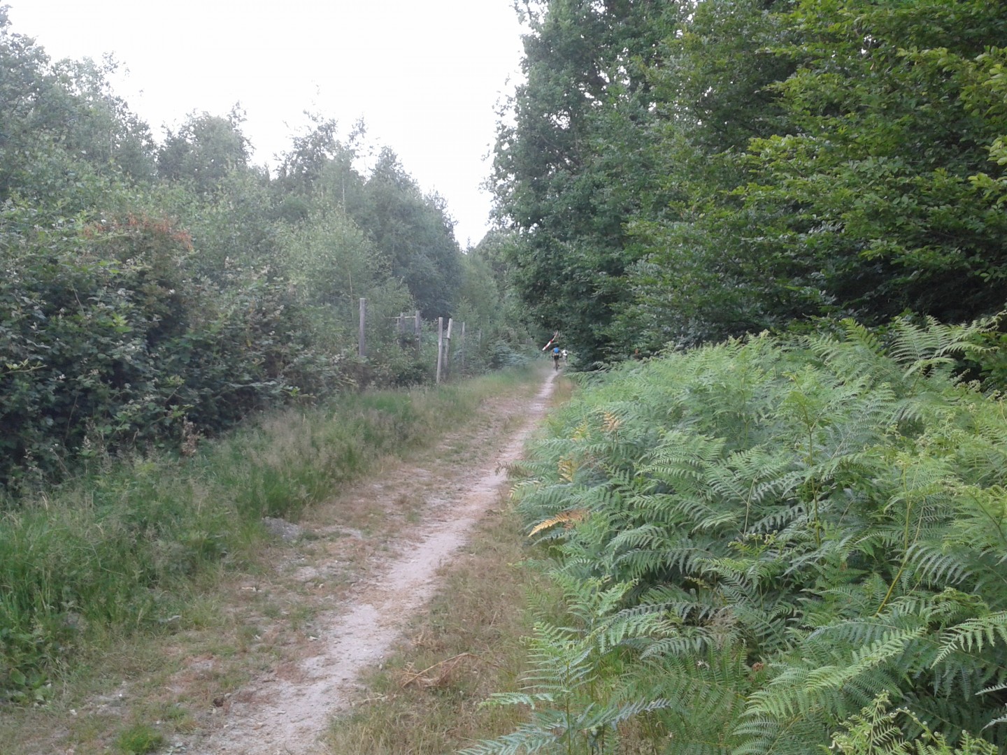 L'Essartaise 2017 - 40 + 60 km