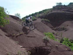 VTT-10391