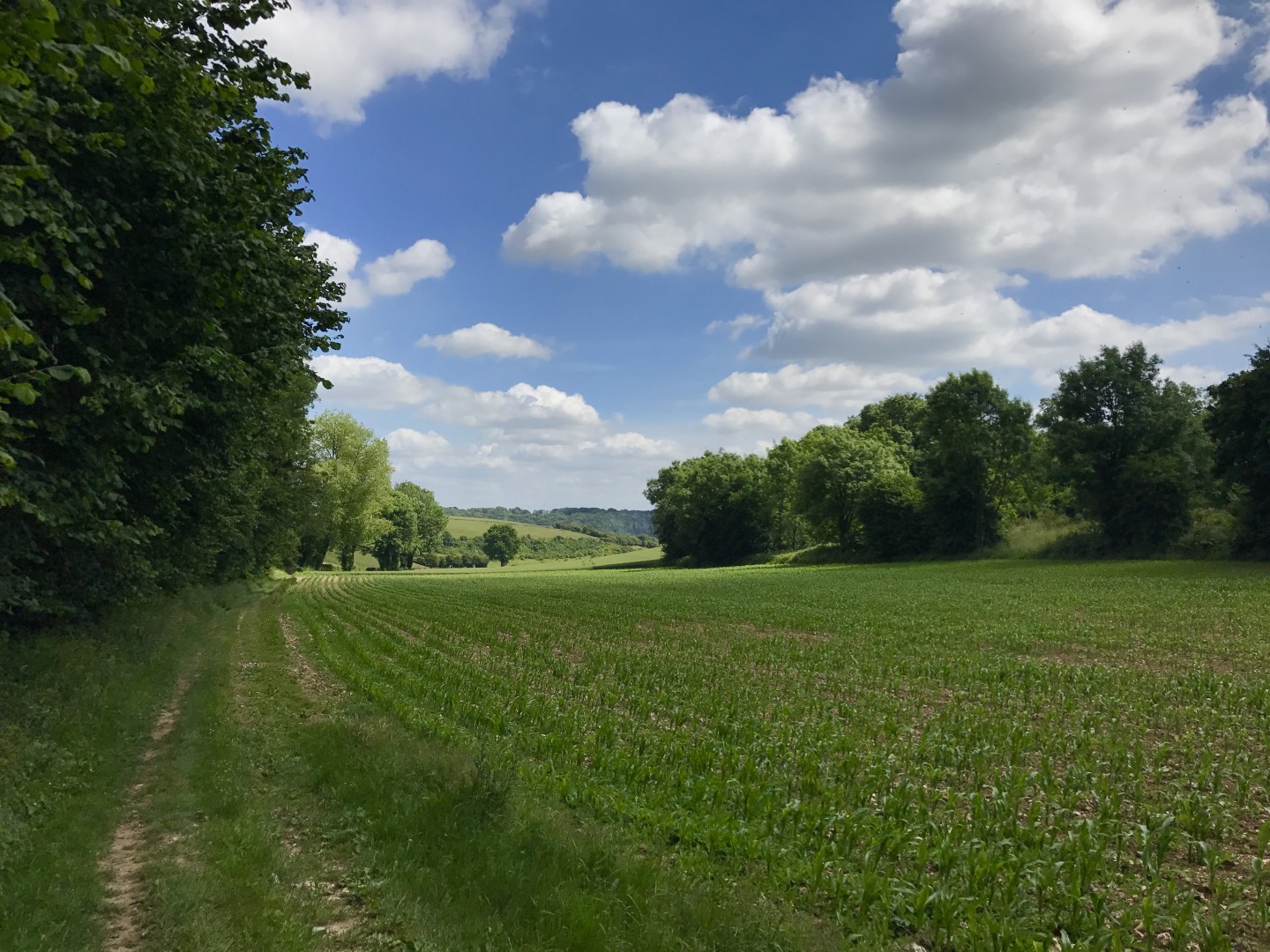 Rando de Menneville "Les fous du guidon" 2017 - 60 km
