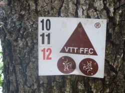 VTT-10535