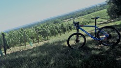 VTT-10548