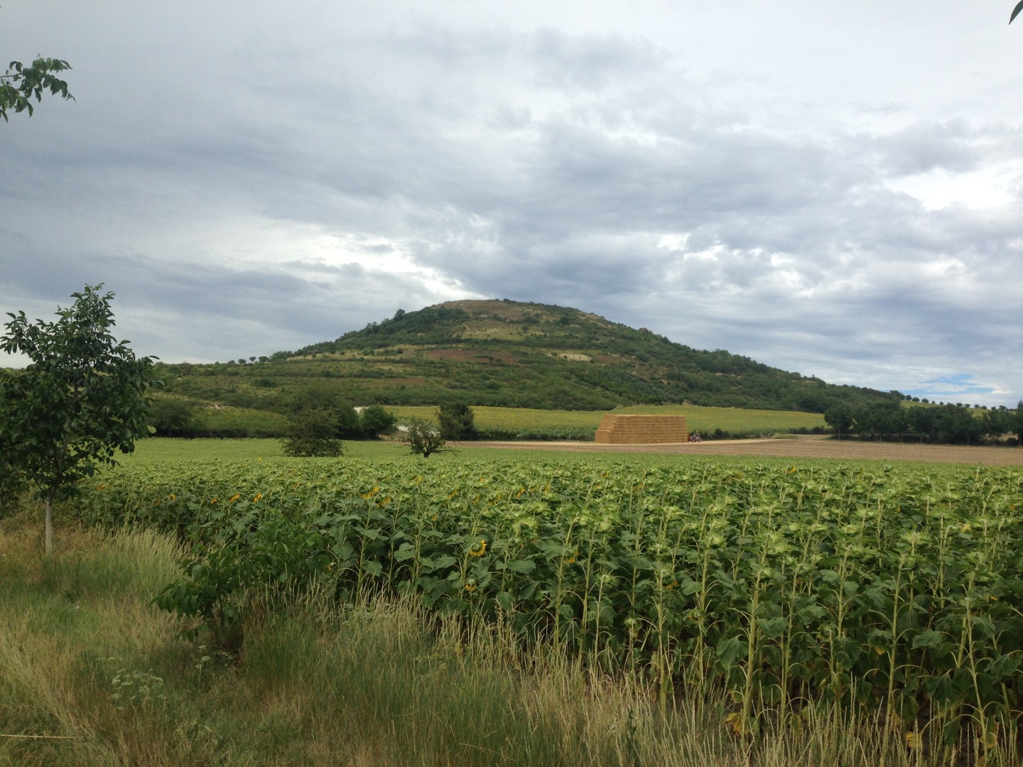 De la Roche Noire au Puy de Bane