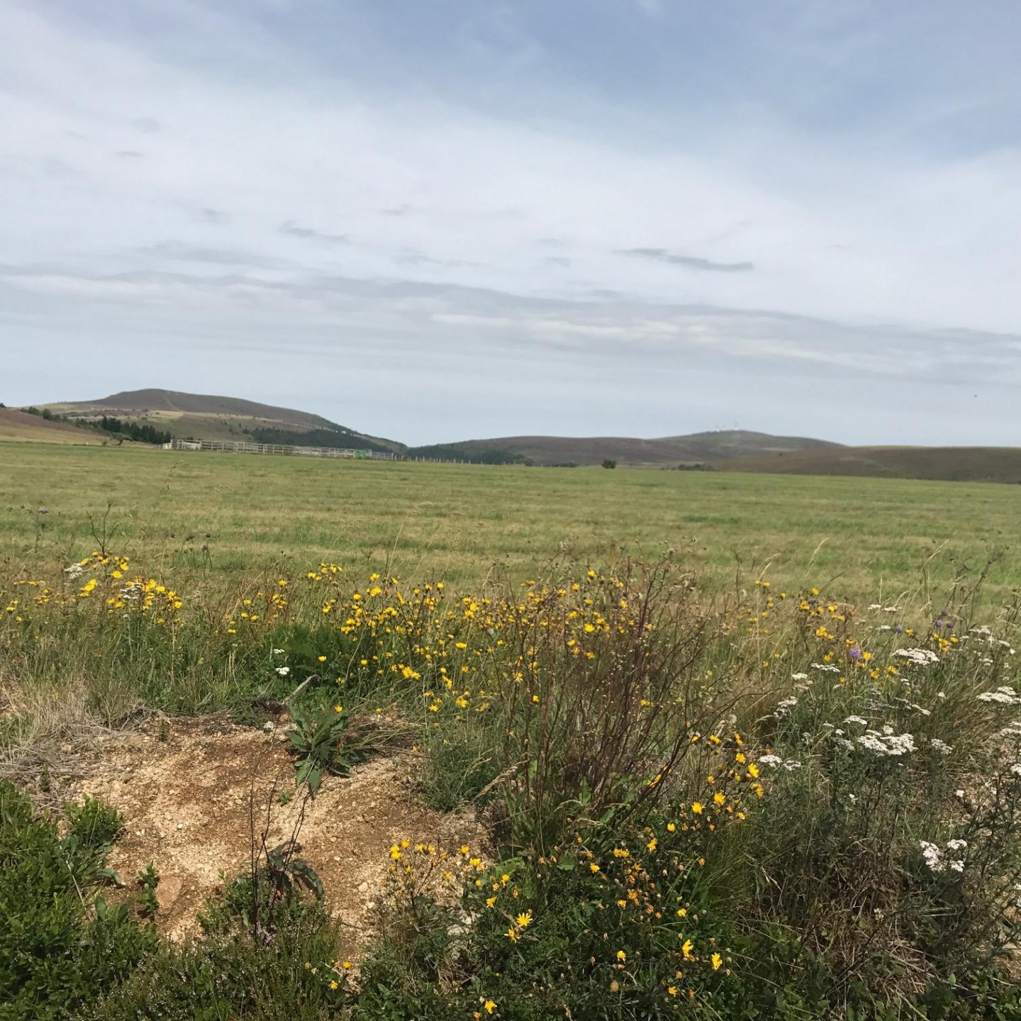 Randonnée des Hautes Chaumes 2017 - 27 km