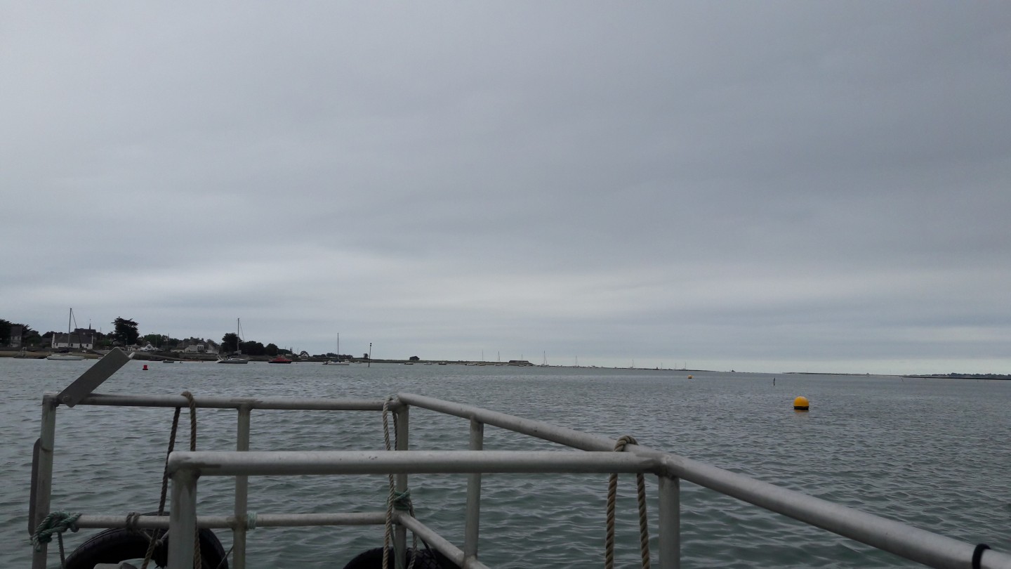 Tour de la rivière de Penerf avec traversée en bateau