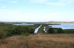 Etang de Vendres et ses canaux