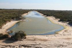 La salinité s'élève avec l'évaporation de l'étang de Pissevache
