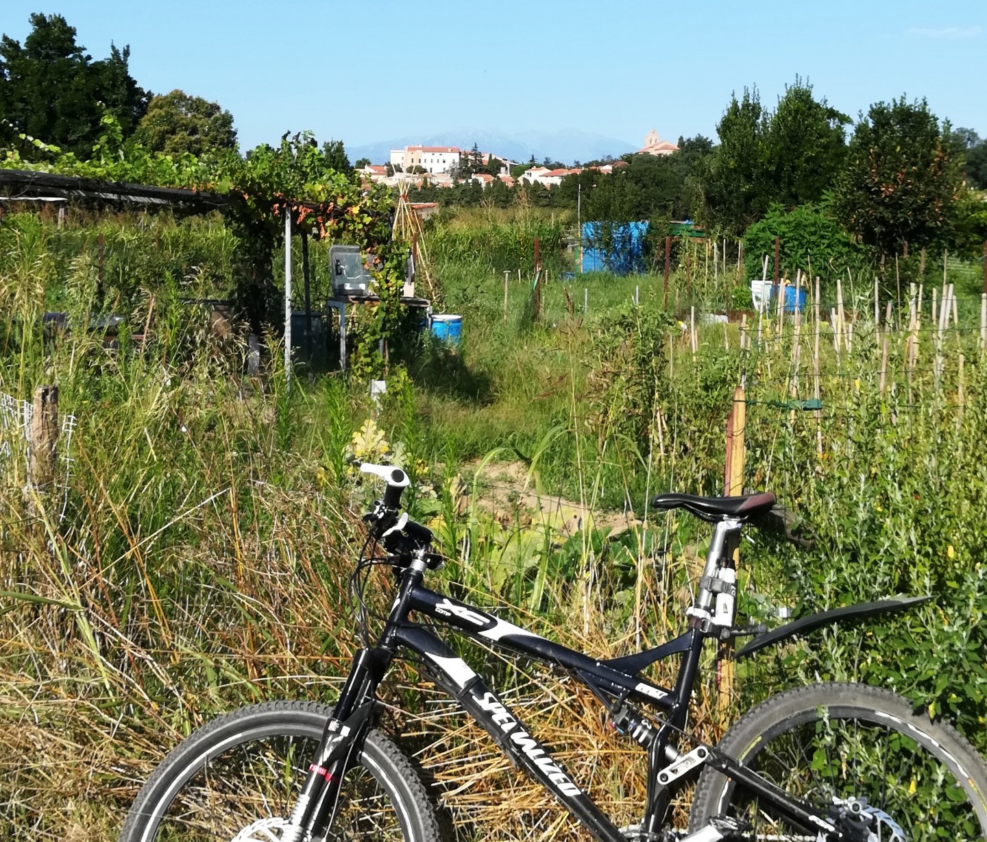 De Saint-Cyprien à Ortaffa
