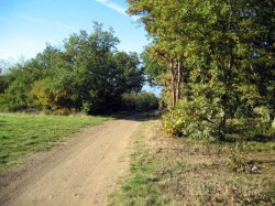 Sommet avant la première grande descente