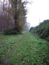 Parc aux abords du Rhône vers Loire
