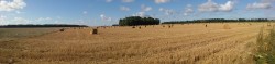 Du côté de Cernay