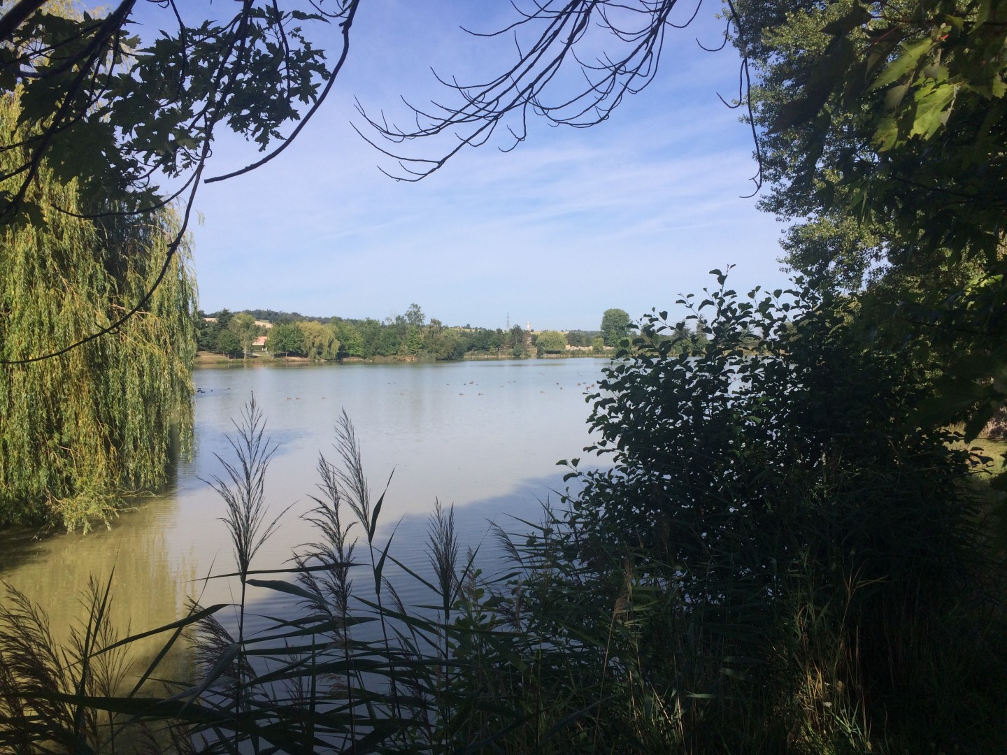 Saint-Orens - Sainte-Foy - Cité de l'Espace