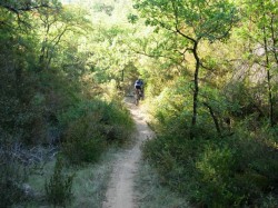 Km5.5 remontée au camp de Méry
