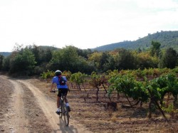 Km15 vers le bois de la Séouve, cela va monter…