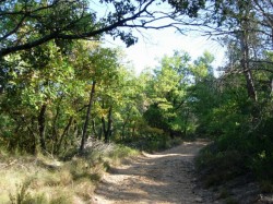 Km7.8 remontée progressive ver les rocailles
