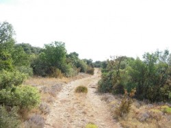 Km17.6  chemin sur les crêtes 