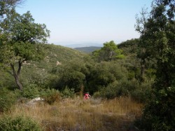 Km16 du col de la Vautubière vue vers les bois de Gadarache