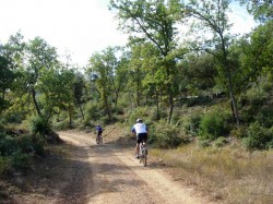 Km15.5 montée vers la tour De guet de Vautubière