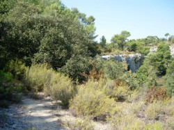 Km32 single sur des crêtes 