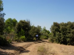 Km27 chemin de la petite Molière