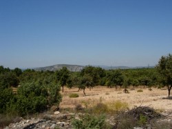 Km26  Truffière sur le plateau de Bèdes