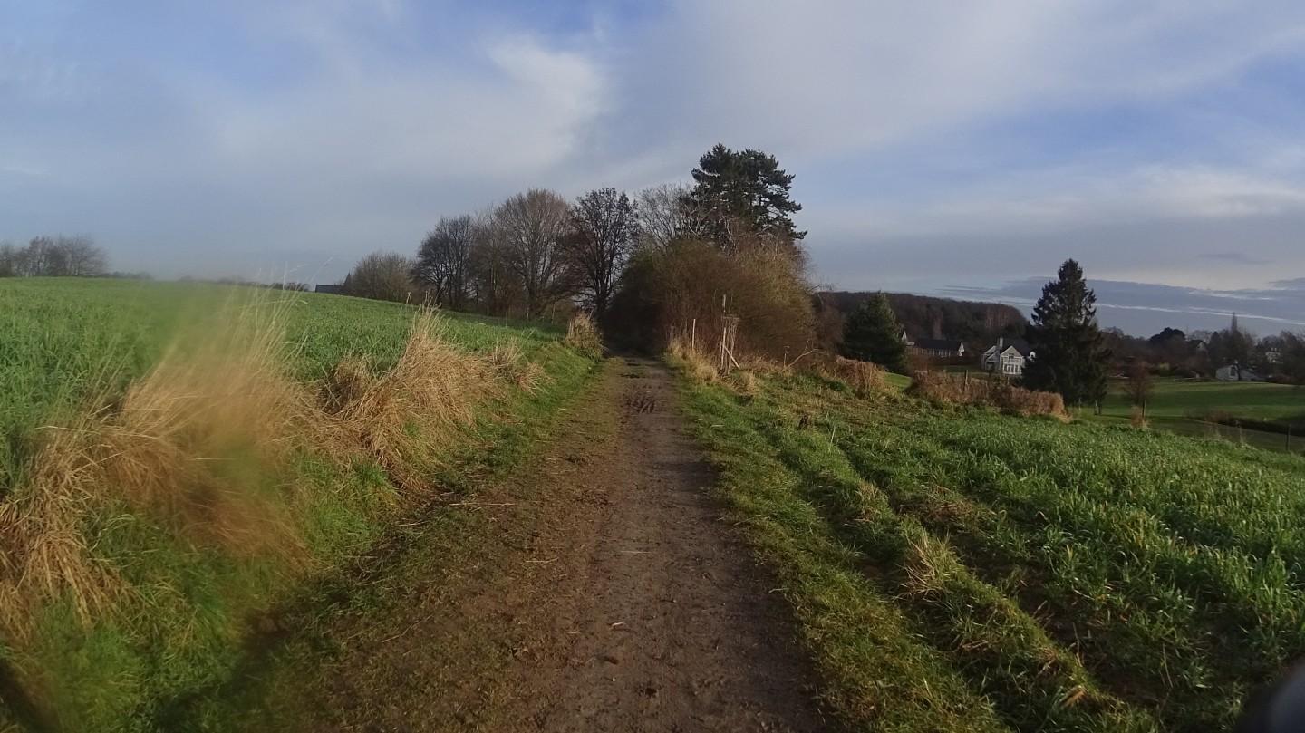 De Waterloo à la forêt de Soignes