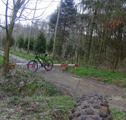 VTT-10799