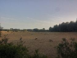 Sur le chemin du retour, à Teyran