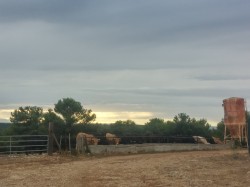 Après une forte pente, à Teyran