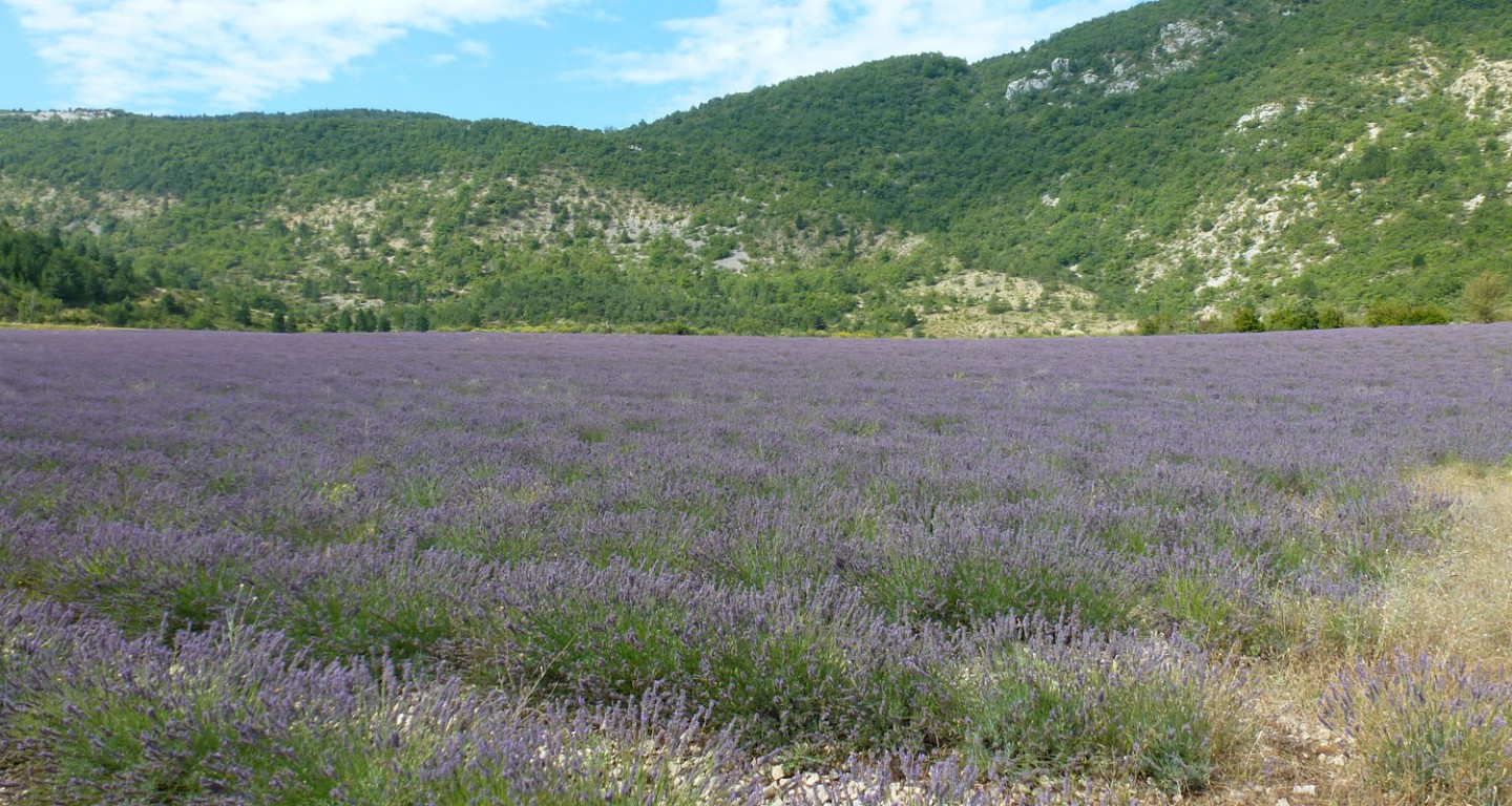 La descente de la citerne