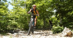 VTT-10825