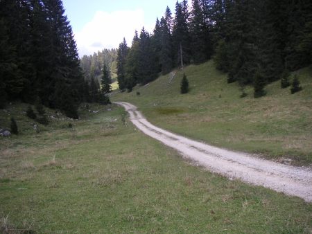 Dans le Parc Naturel Régional du Haut-Jura