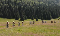 VTT-10869