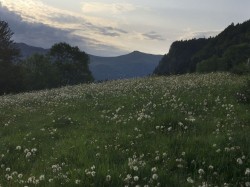 Puy de la tourte depuis la montée au col de Neronne