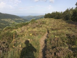 sur la crête
