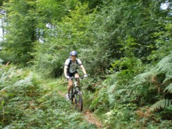 En lisière de forêt