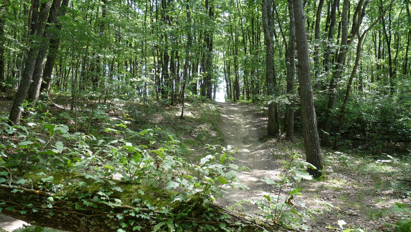 Parcours de 50 km des 100 bornes de Bouconne 2017