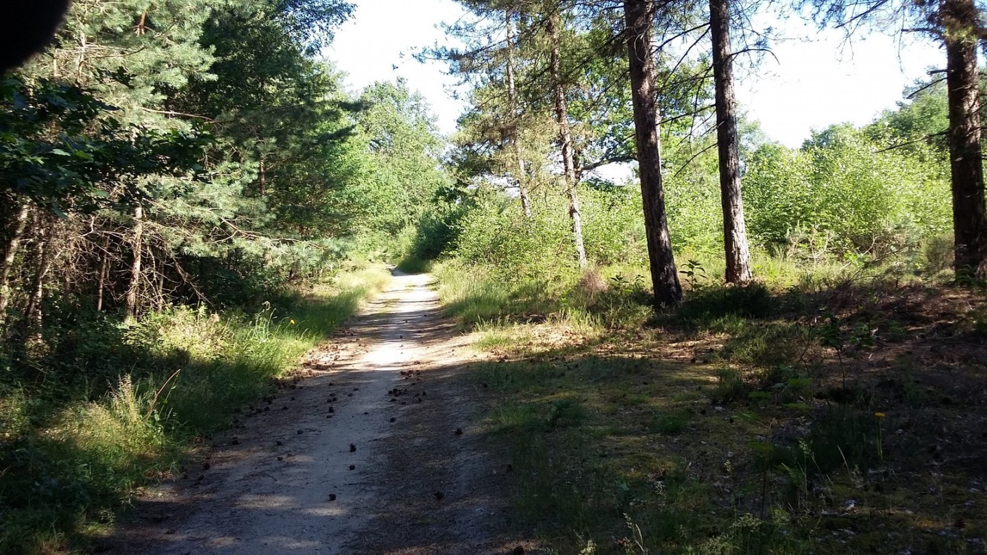Boucle en Sologne