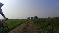 VTT-10995