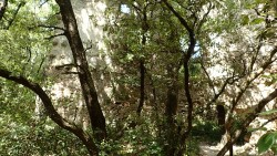 ruine au bord du Latay, c'est à partir de là qu'il faut quitter le GR9 pour aller au pont du diable