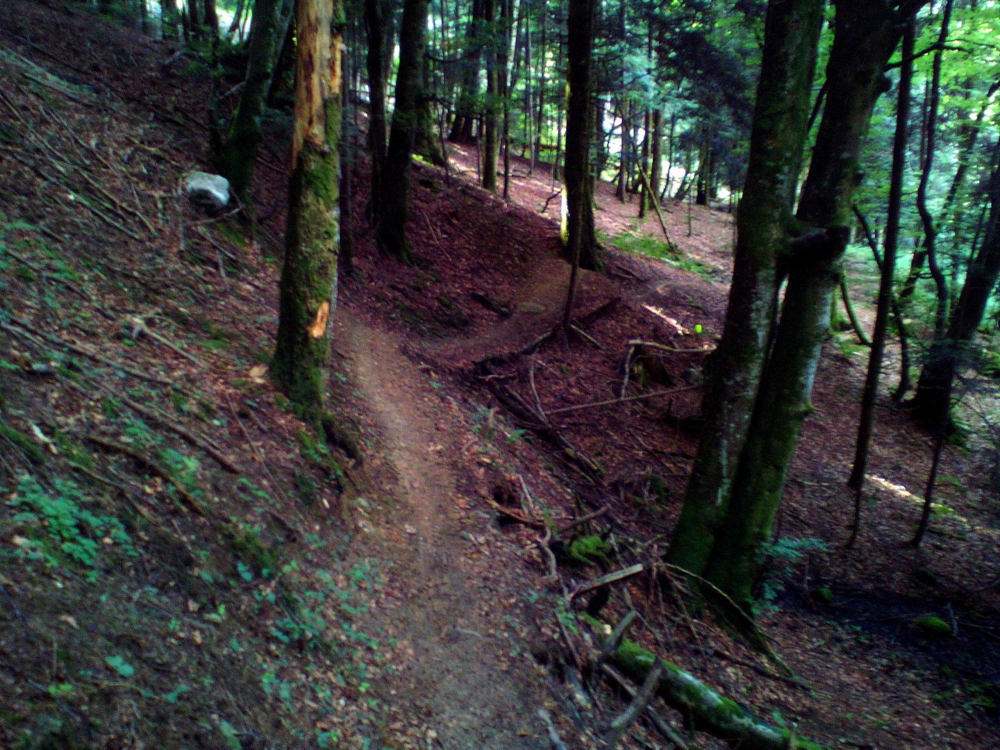 Monotrace du col de Cou
