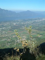 Vue sur le lac du Bourget et le col du Chat