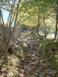 Au dessus de la ferme du Nivolet, une montée à pied s'impose...