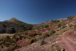 Tête de Rigaud