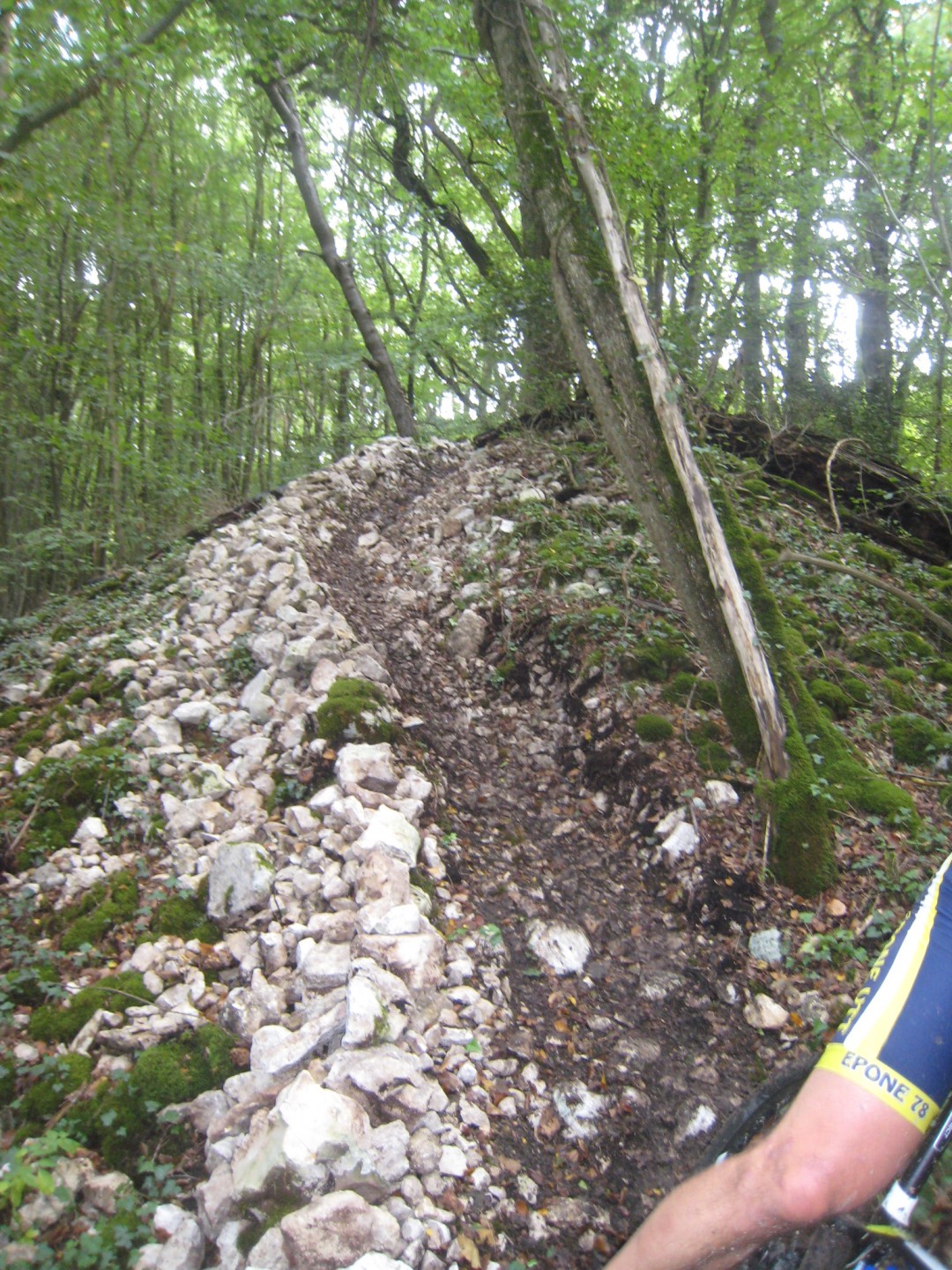 Guervilloise 2017 - Boucles rouge et noire - 53 km