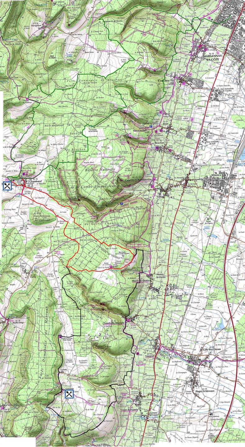 Randonnée des Grands Crus et châteaux de Bourgogne 2017 - 44 km