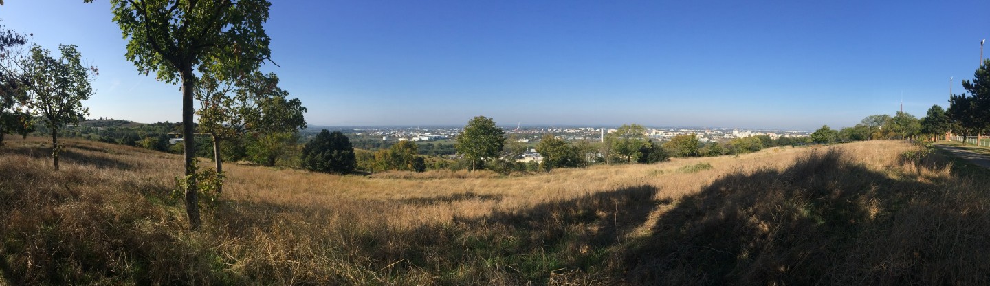 Saint-Orens - Pech David