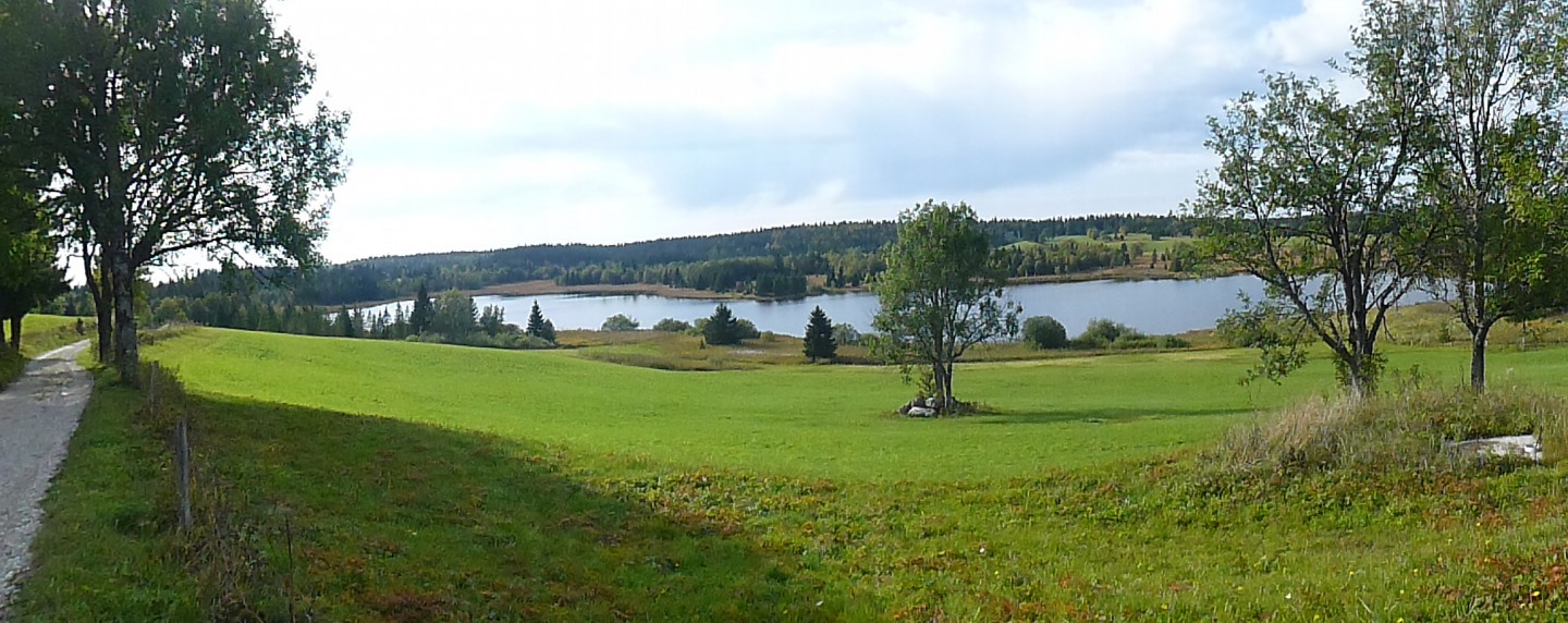 Entre la Pesse et Chapelle-des-Bois - Etape 1/2 : Aller